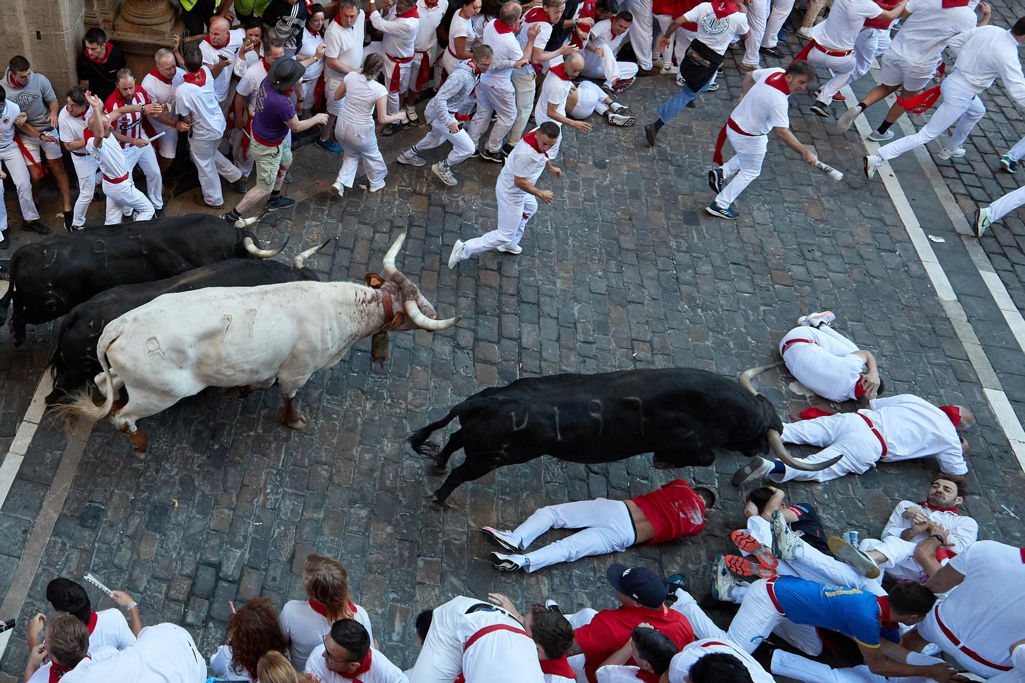 Segundo encierro de (152282936).jpg