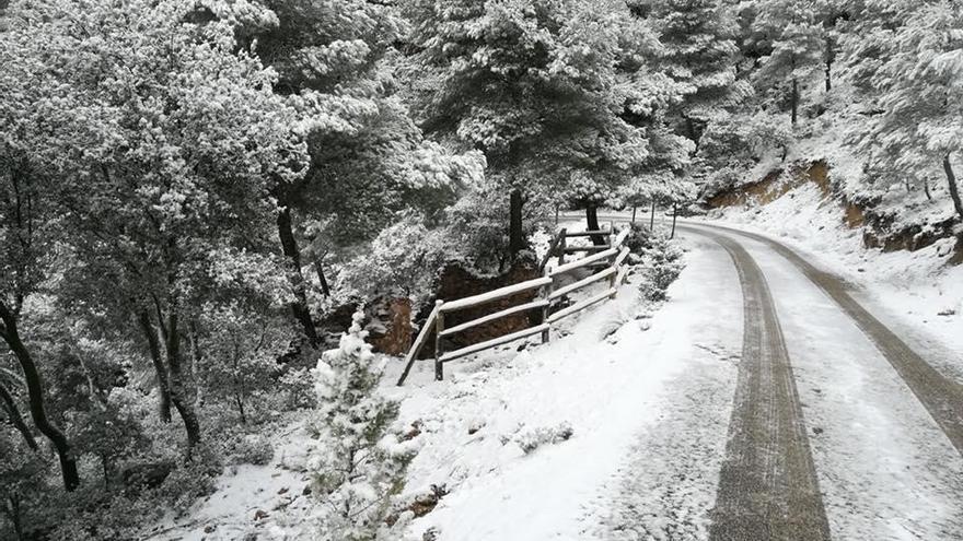 La nieve deja increíbles imágenes en la Sierra de la Pila (Fortuna)