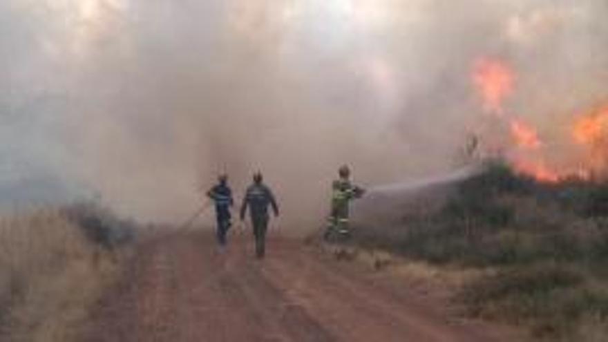 Intervención de bomberos forestales en el incendio forestal en Grisuela