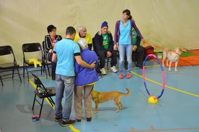 OLIMPIADA DEL ABUELO CANARIO