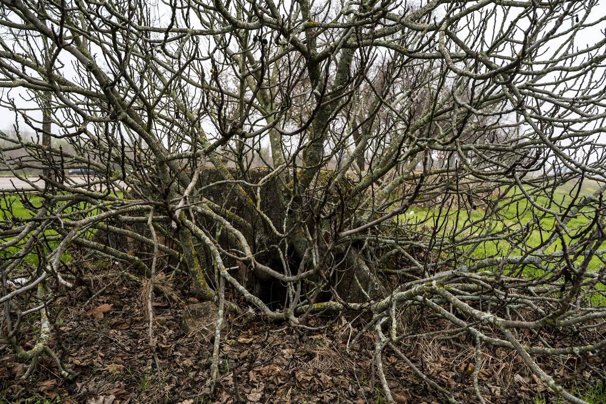 FOTOGALERÍA | Restos de los refugios antiaéreos de Cáceres junto al recinto ferial