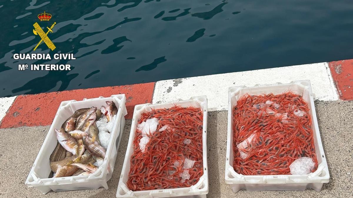 Intervienen en La Gomera 28 kilos de pescado y marisco
