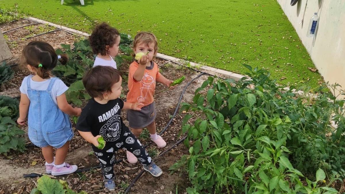 Huertos escolares, un recurso educativo en tiempos de covid