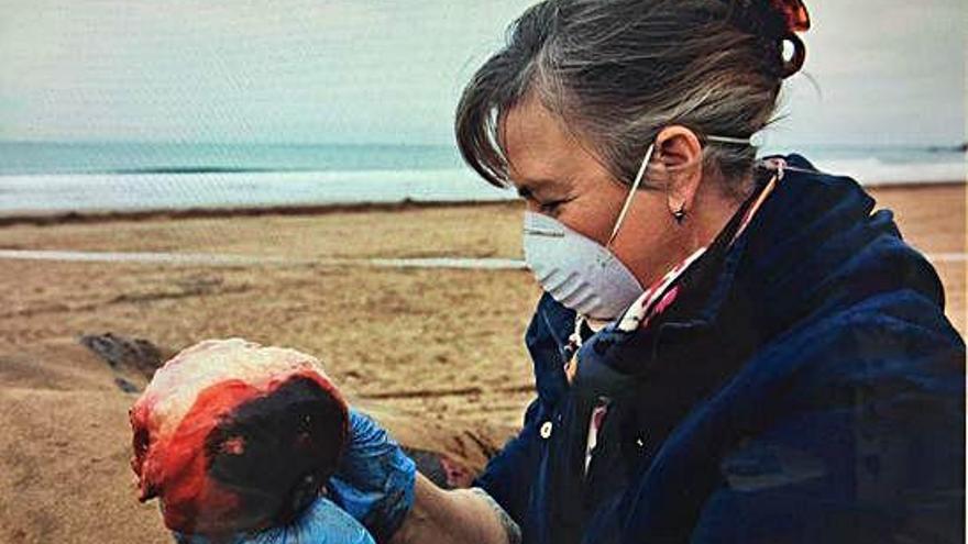 La científica, con el ojo de la ballena en la playa de Sopelana, donde quedó varado el cetáceo.