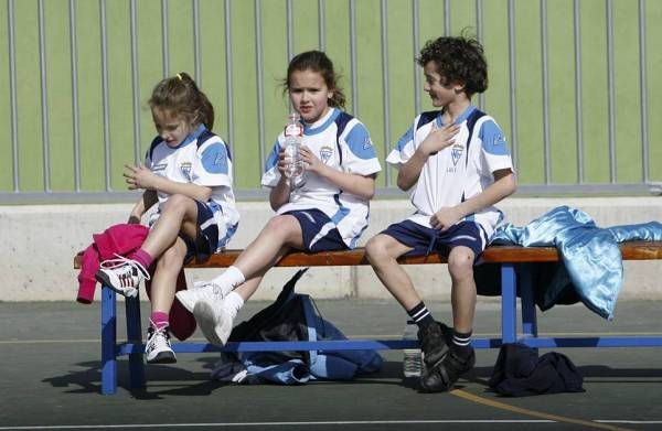 BALONCESTO: Maristas-Helios (liga de escuelas) / St Casablanca-Helios (preinfantil femenino)  / Compañía de María-Helios (benjamín femenino)  / Alierta-Helios (alevín femenino B)