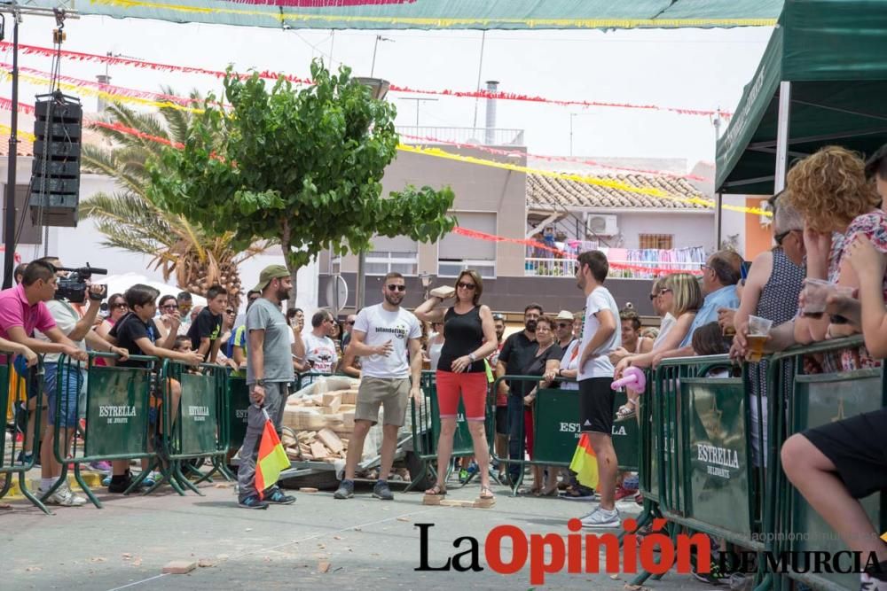 Campeonato del mundo de lanzamiento de 'Ladrillo d