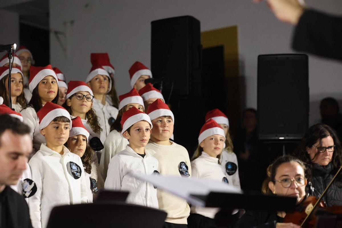 Las imágenes del encendido de luces de Navidad en Sant Josep Las imágenes del encendido de luces de Navidad en Sant Josep