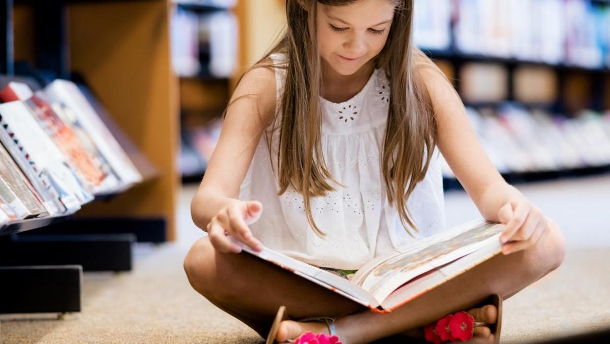 La Comunidad de Madrid presenta la 41ª Muestra del Libro Infantil y Juvenil que reúne una selección de los 220 mejores títulos de 2025.