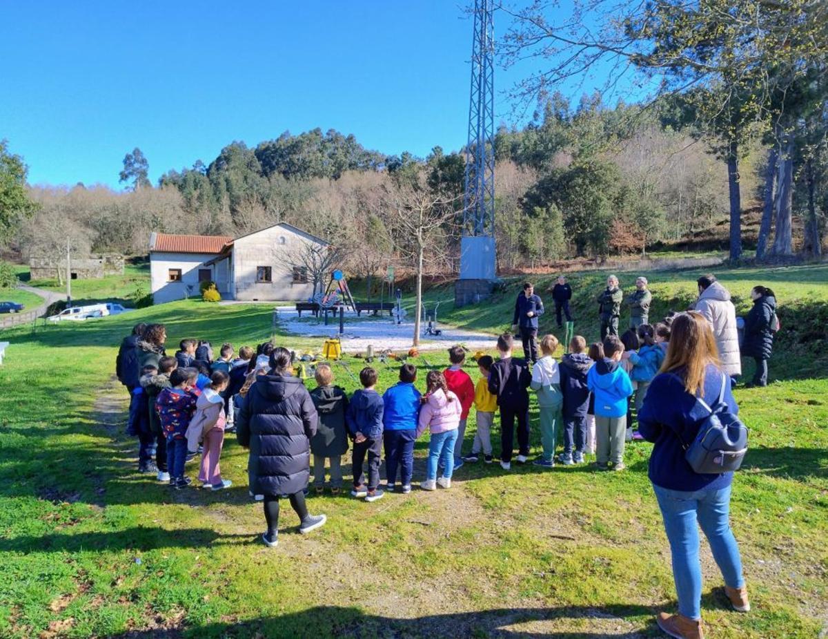 O alumnado do CPI de Mondariz repoboa os montes de Toutón