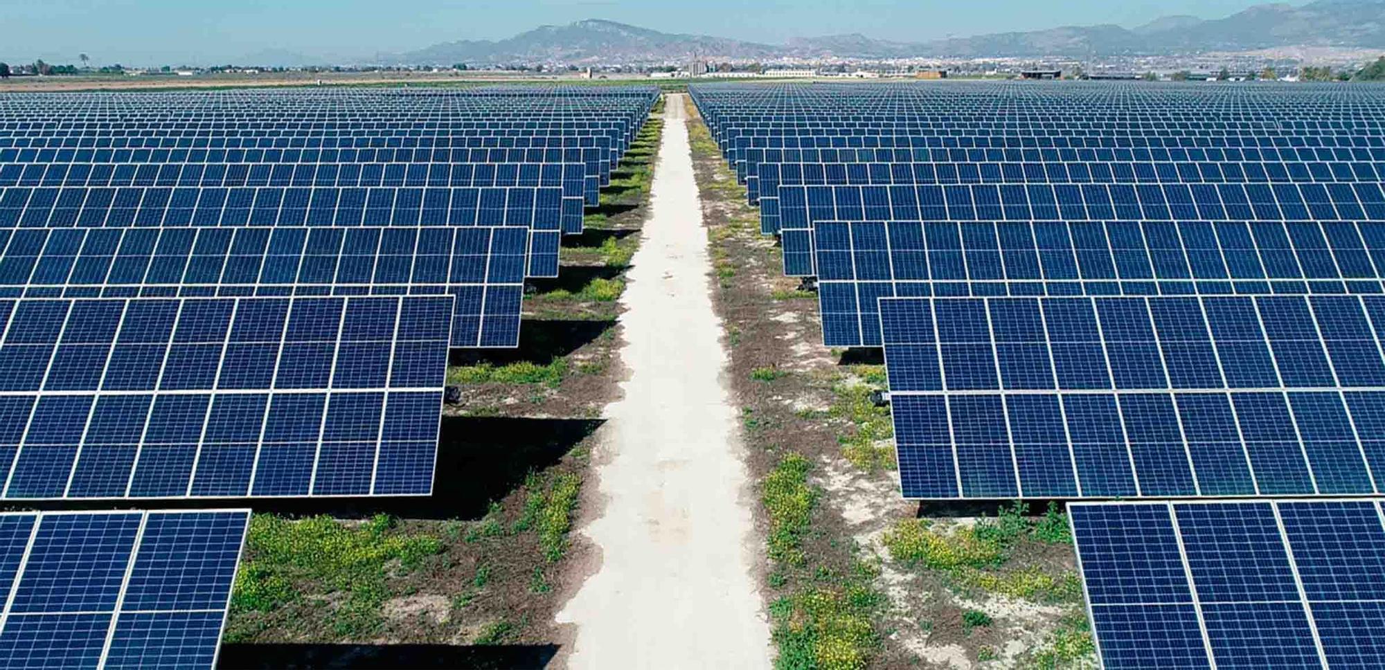La agrivoltaica permite la convivencia entre la producción de energía fotovoltaica y el desarrollo de los cultivos