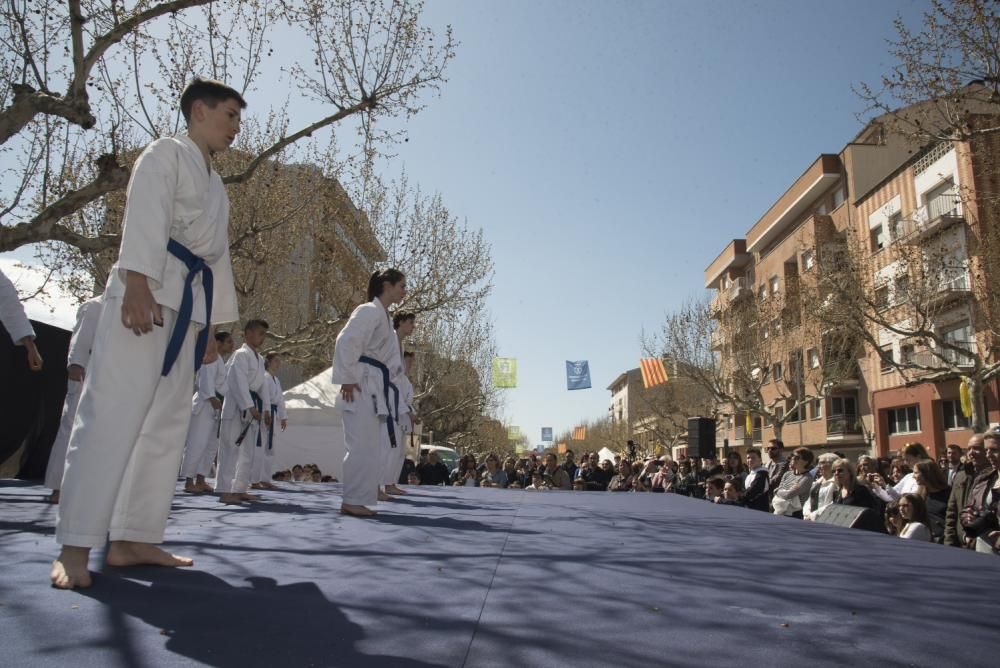 Fira de Primavera de Navàs