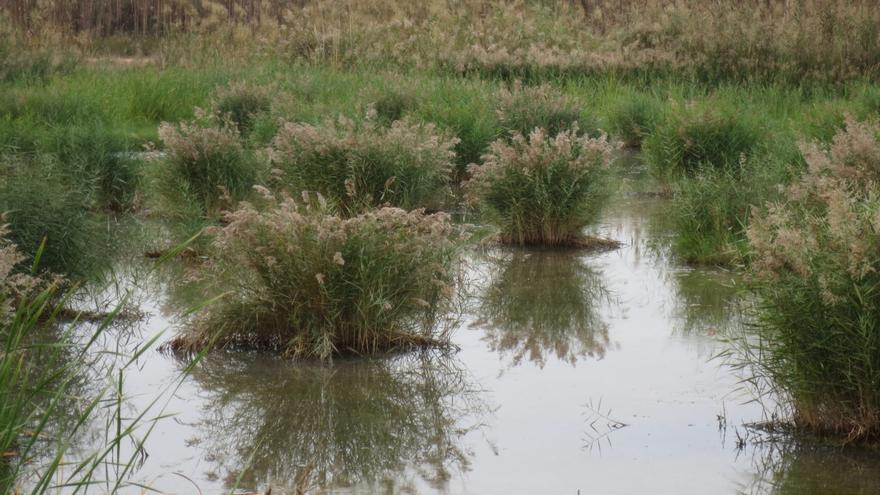 Ecologistas en Acción reclama la publicación del catálogo regional de zonas húmedas de Extremadura