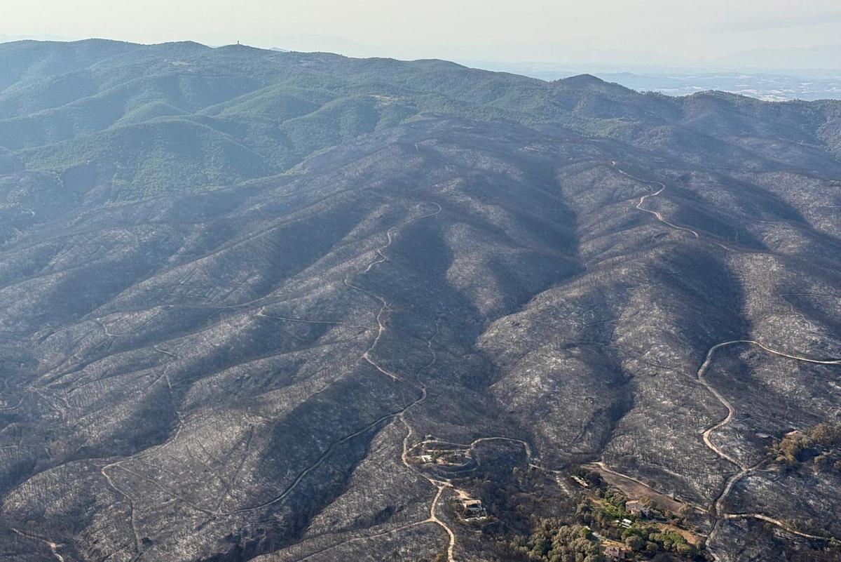 Les Gavarrres, després de l'incendi
