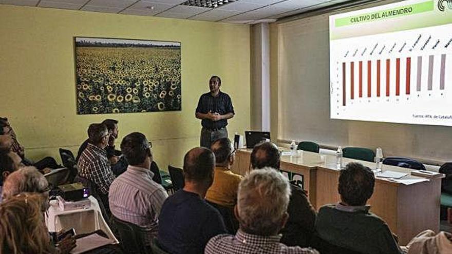 Un momento de la jornada informativa sobre el almendro celebrada ayer en COAG.