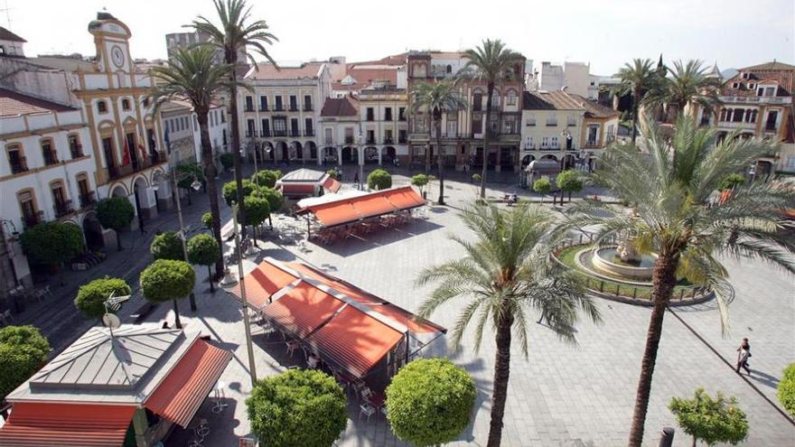 Un estudio muestra que el riesgo de caída de las palmeras de la plaza de España de Mérida es bajo