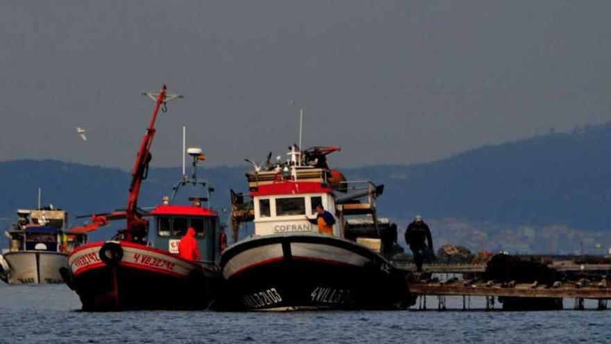 Barcos auxiliares de acuicultura, productores y bateas, en la ría de Arousa. // Iñaki Abella