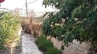 La depuradora de Ibiza vierte aguas fecales al torrente de sa Llavanera desde hace seis días