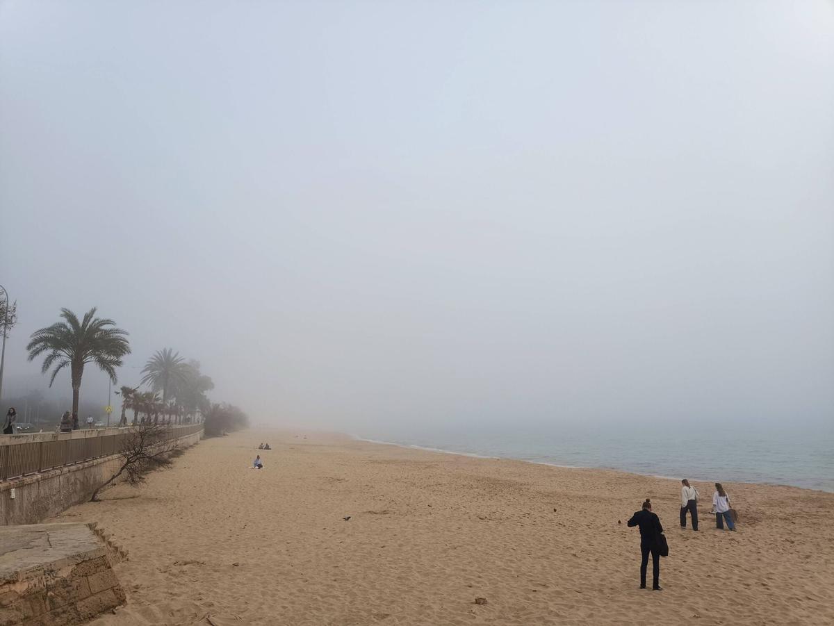 Las imágenes de la niebla en Mallorca