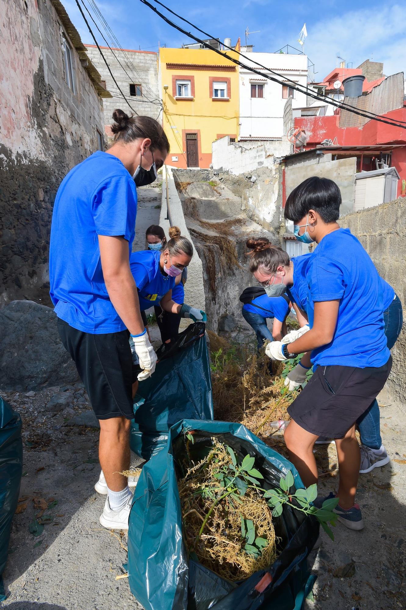 Alumnos de la ULPGC participan en las tareas de limpieza y embellecimiento en El Risco