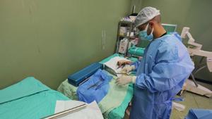 Un doctor en el Hospital Al Aqsa, situado en la ciudad de Deir al Balá, en el centro de la Franja de Gaza (archivo)