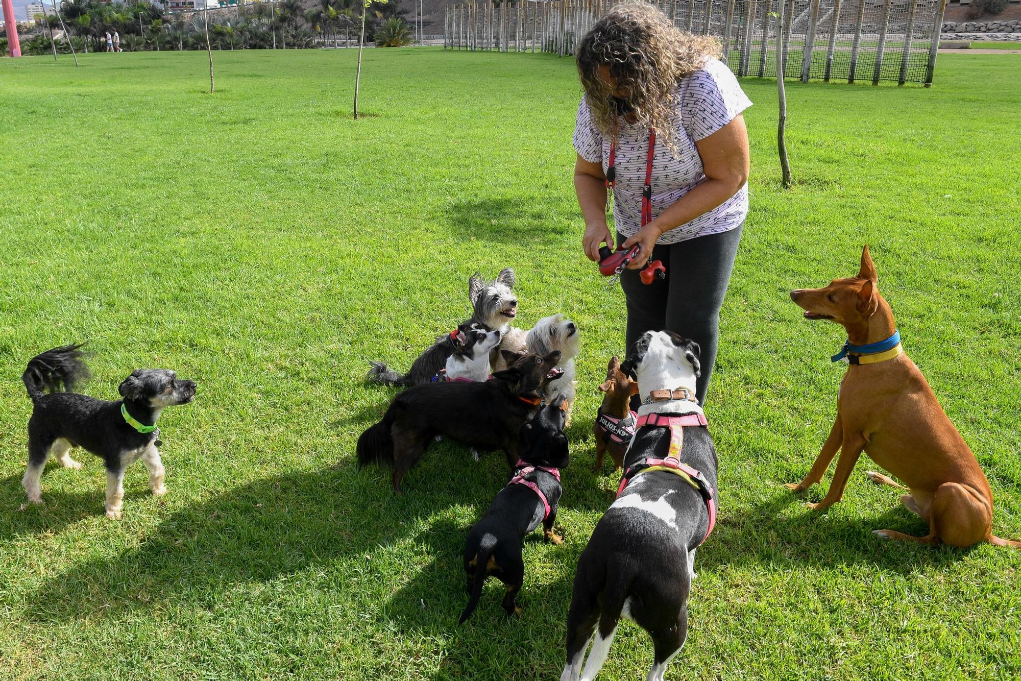 Jornada de domingo en el parque de La Ballena