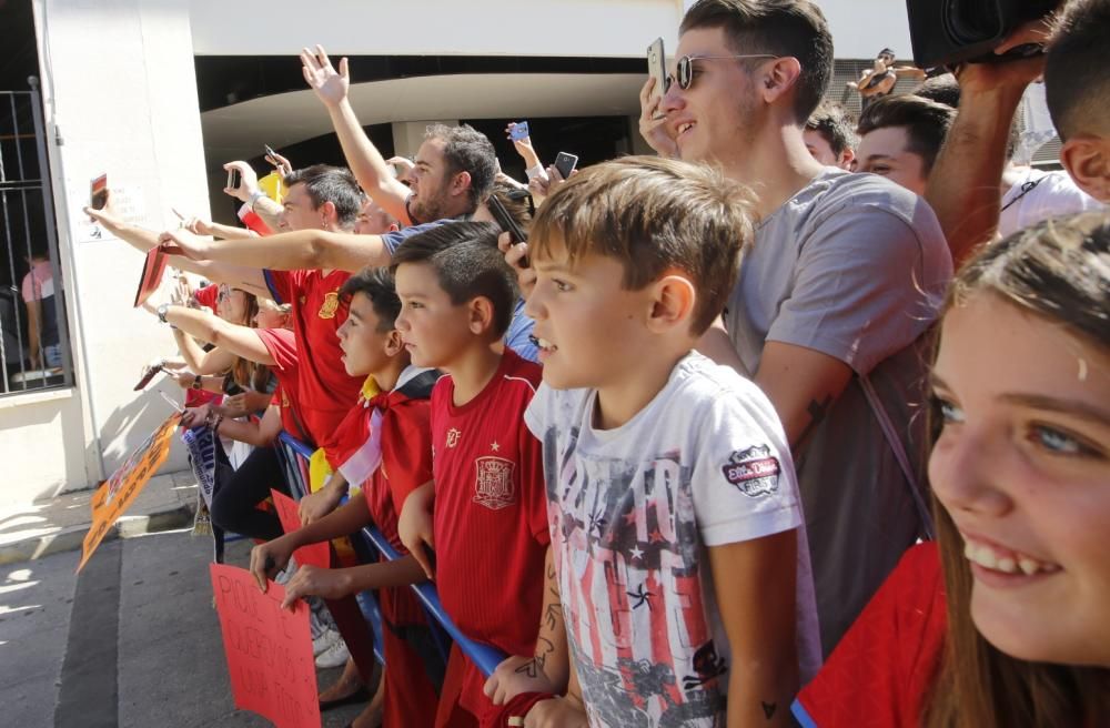 Los jugadores de la Selección llegan a Alicante