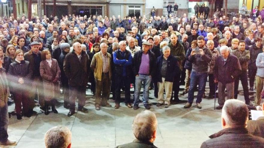 Mil personas salen a la calle en Pego en defensa de la naranja valenciana