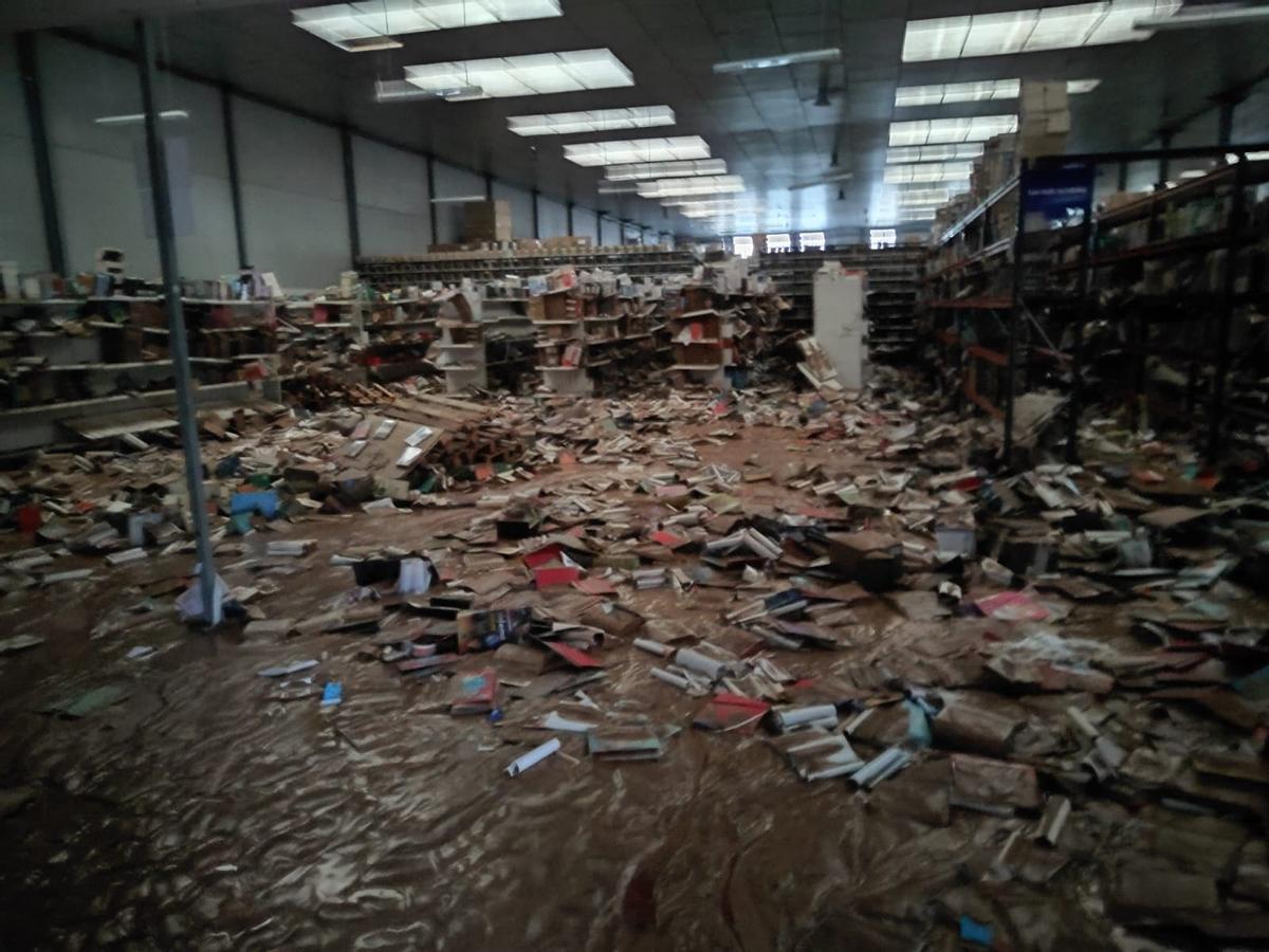 Cientos de ejemplares dañados por la riada del 29 de octubre de 2024.