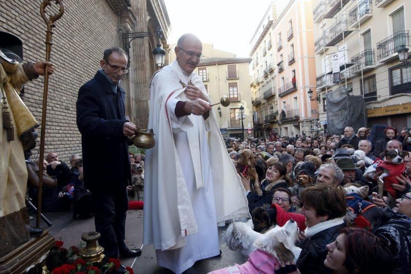 Celebración de San Antón, bendición de los animales