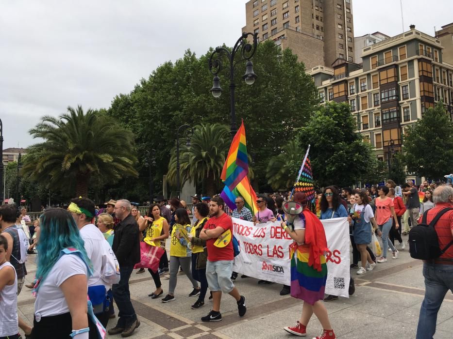 Manifestación del Orgullín del Norte.