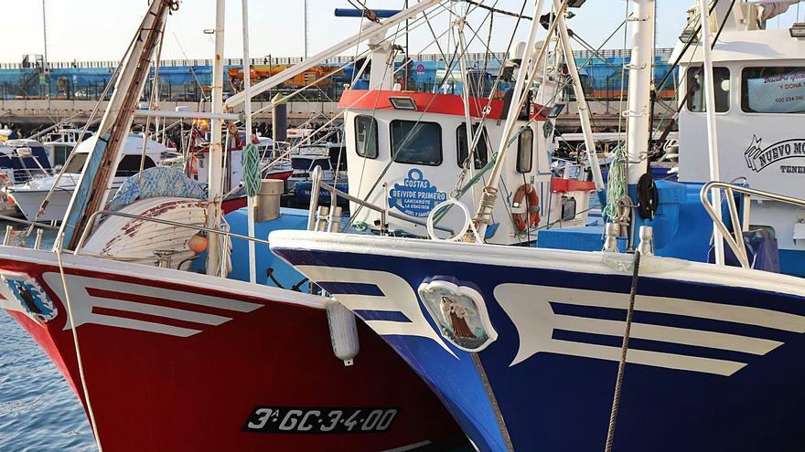 Barcos de la flota artesanal de Canarias, en una imagen distribuida por la consejería de Agricultura y Pesca. | | LP/DLP