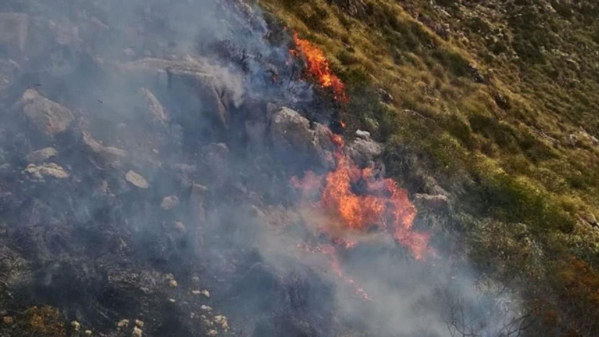 Imagen del incendio que se declaró en Ariant (Pollença) en febrero, que arrasó más de 58 hectáreas.