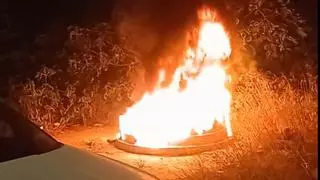 Prenden fuego a un refugio de gatos en Carcaixent
