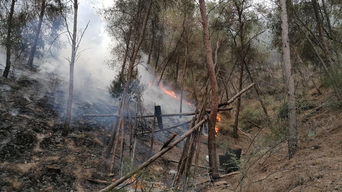 Incendio en las proximidades de la urbanización Montepinar de Murcia.