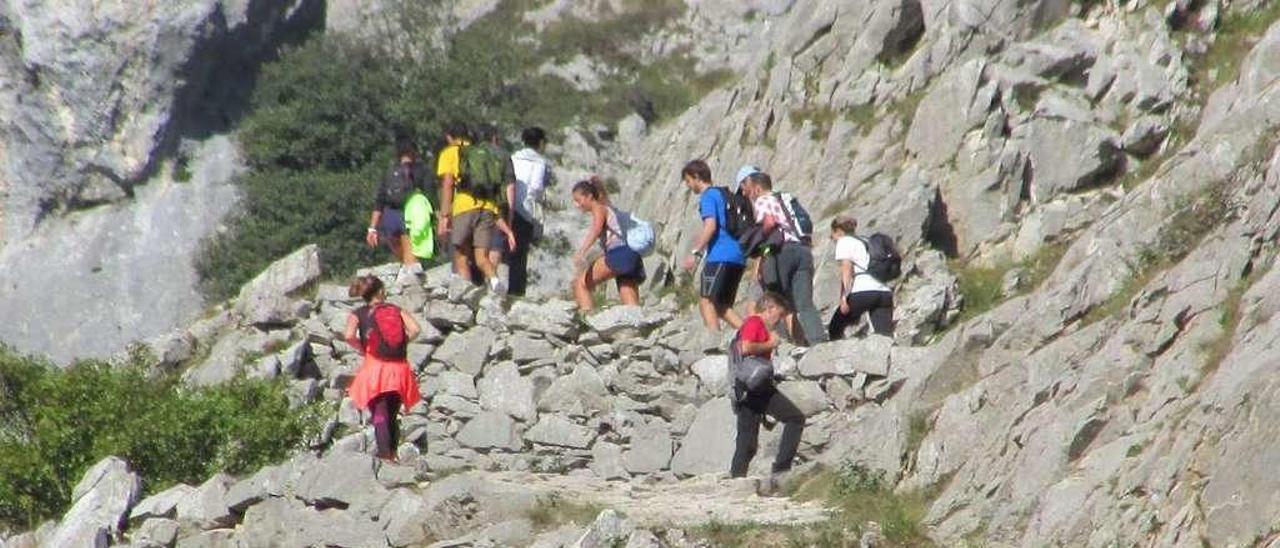 Senderistas en la ruta del Cares, ayer.