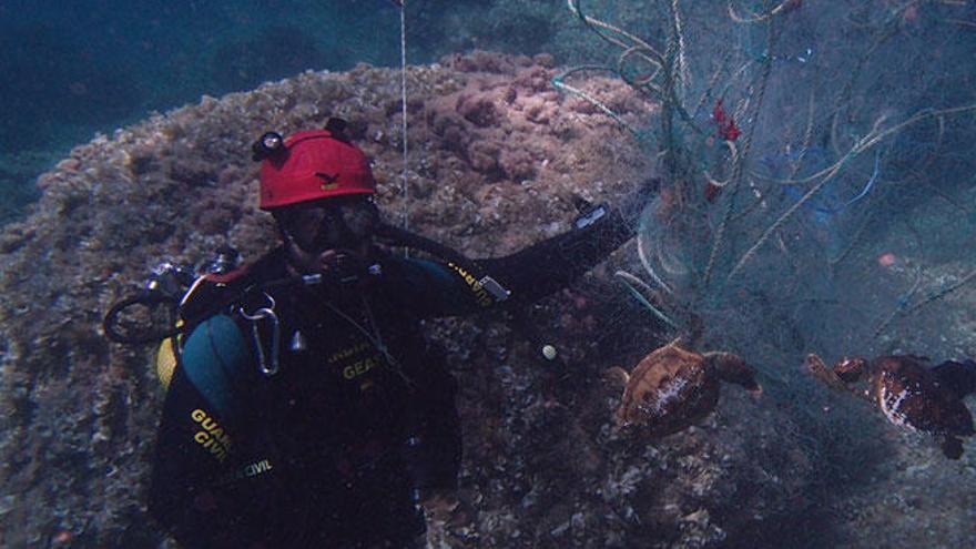 Recuperada una red de pesca con dos tortugas marinas atrapadas en Cala Rajada