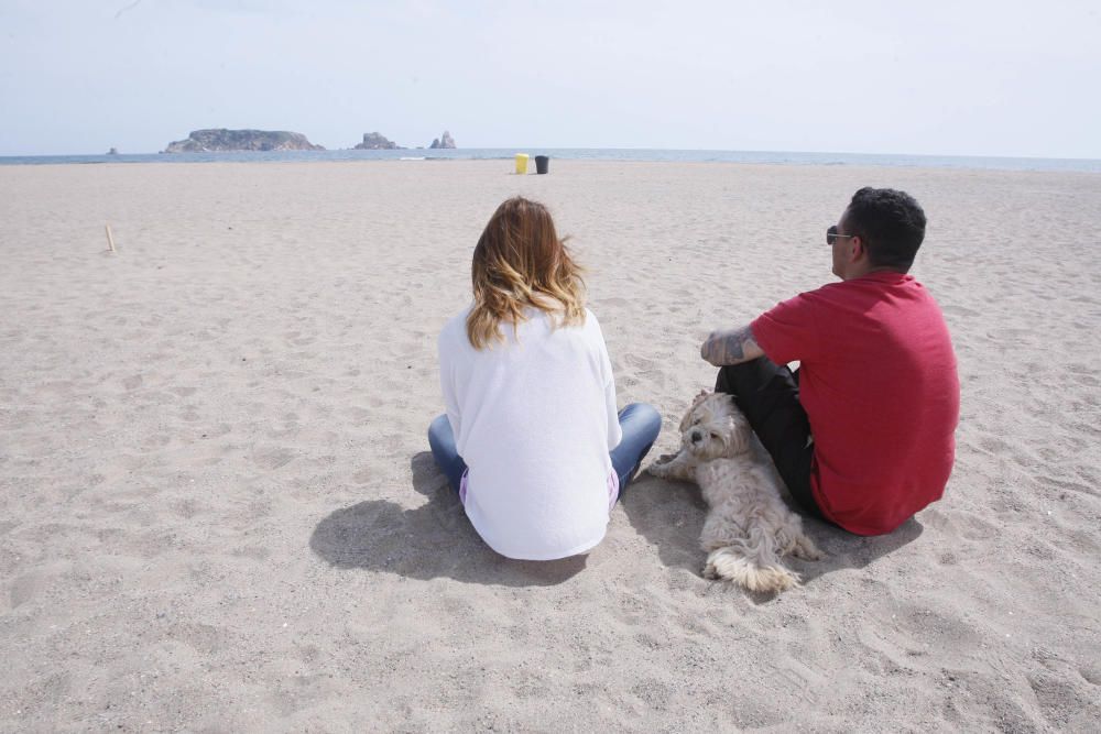 Platja per gossos