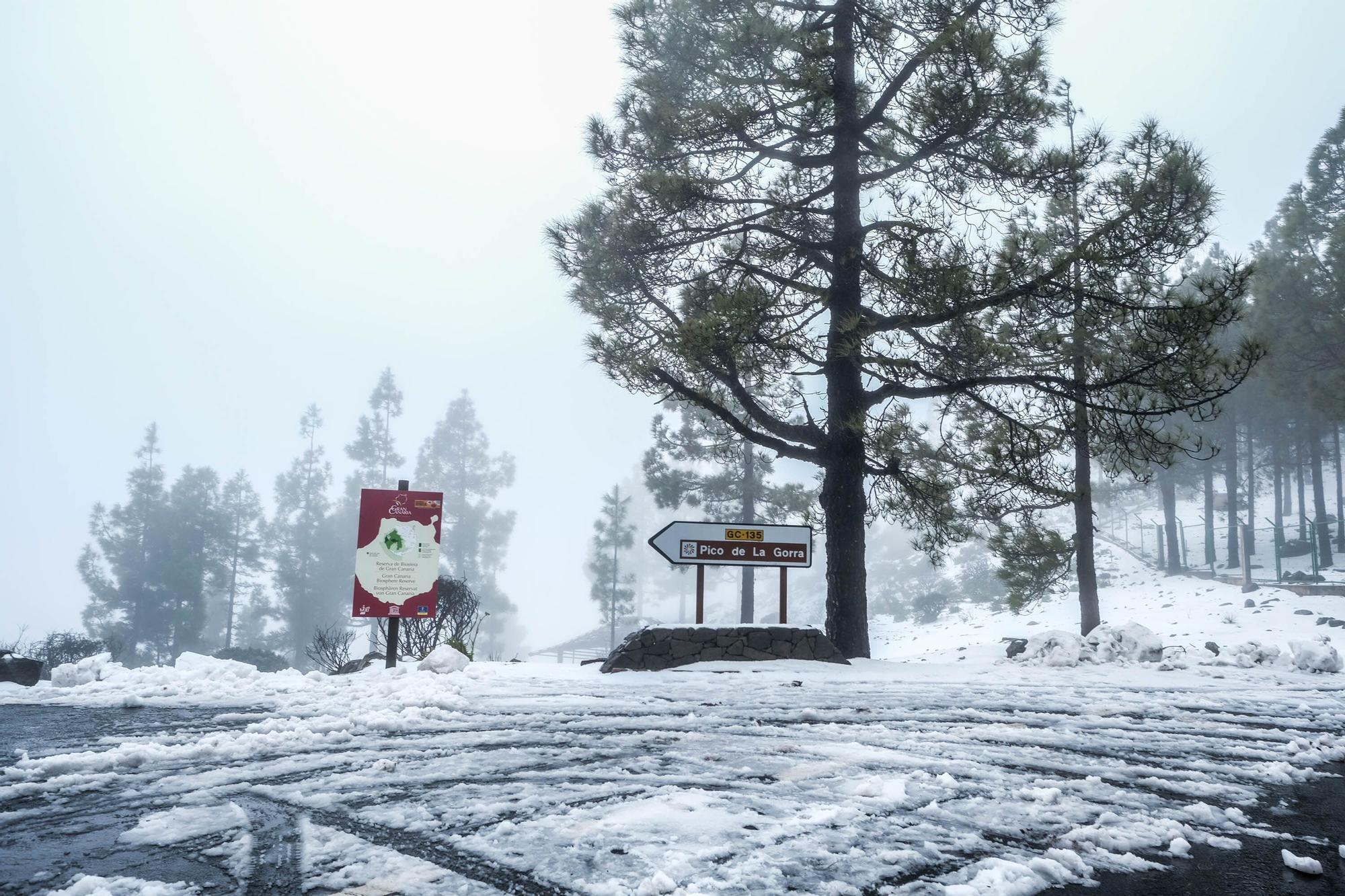 Nieve en la cumbre de Gran Canaria (15/03/2022)