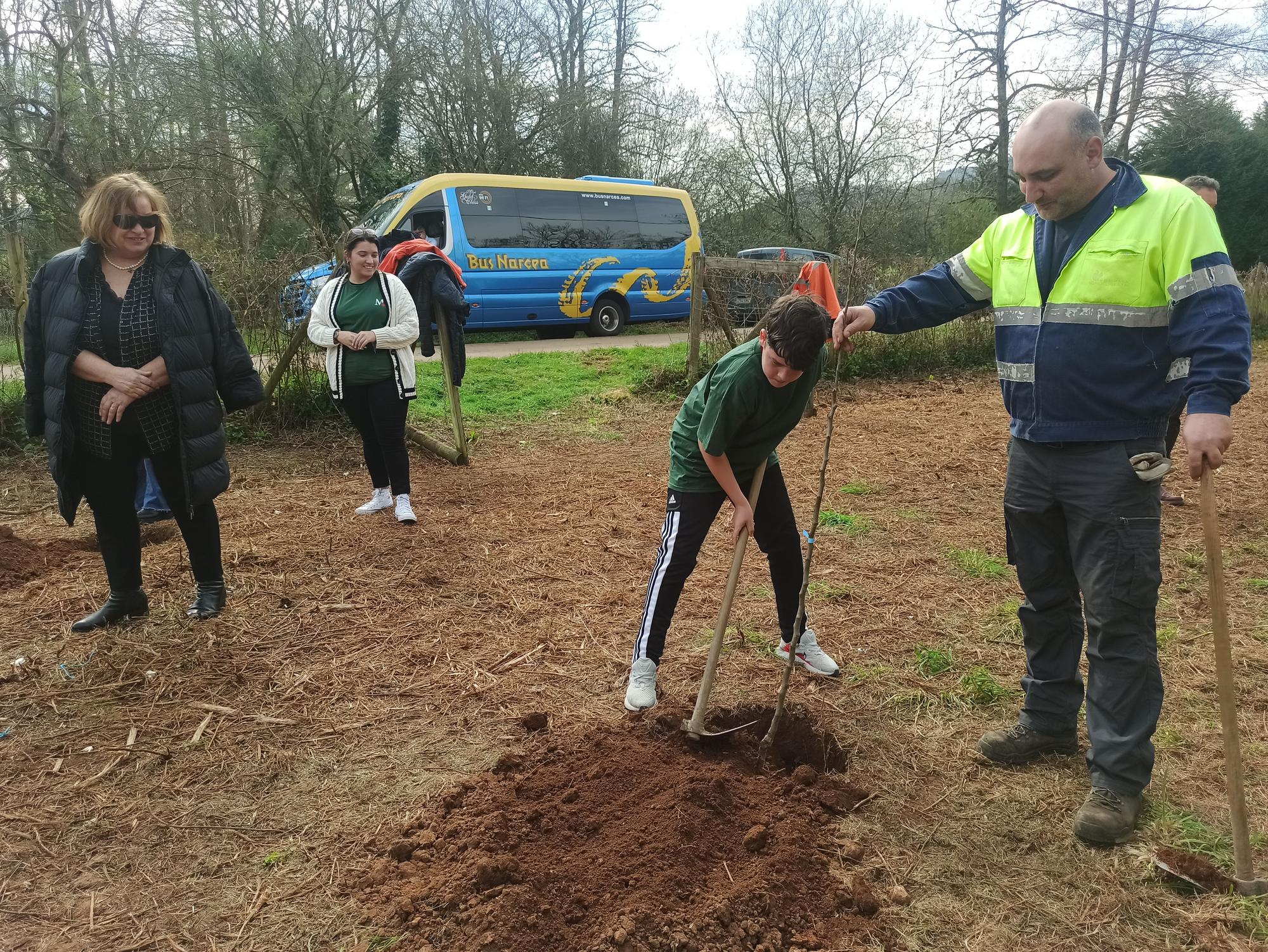 Los escolares de San Cucao ponen freno a la huella de carbono con la plantación de árboles frutales, así fue la jornada ambiental