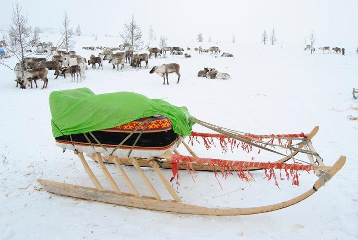 Viaje a la tierra de los nenets: una mirada antropológica