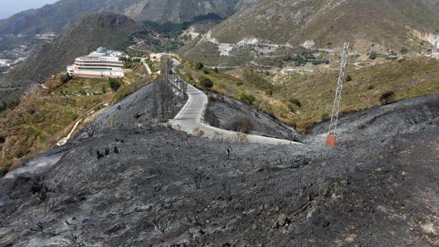 Piden valoración de los daños del incendio que quemó más de 8.000 hectáreas en Málaga