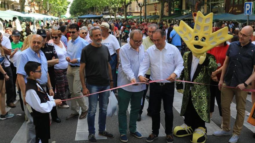 Inauguración hoy de la muestra.