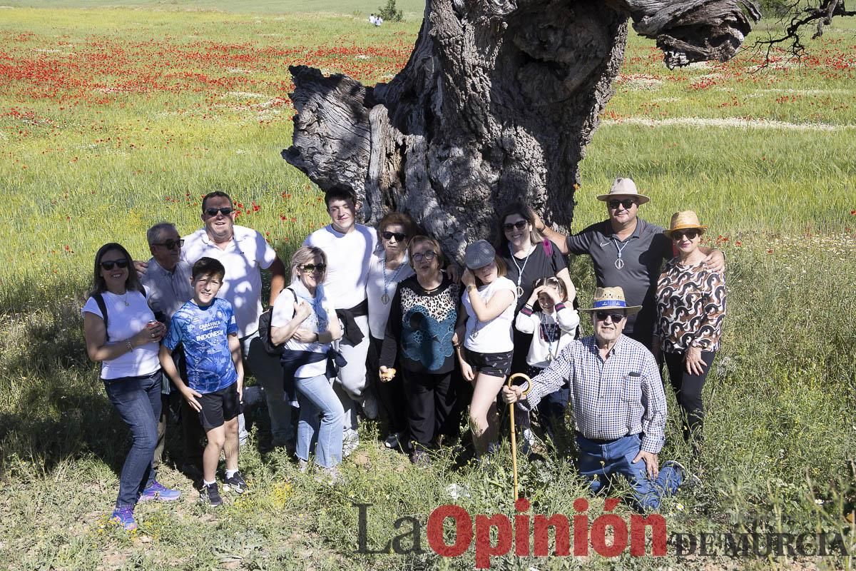 Romería de San Isidro en los Poyos de Celda de Caravaca