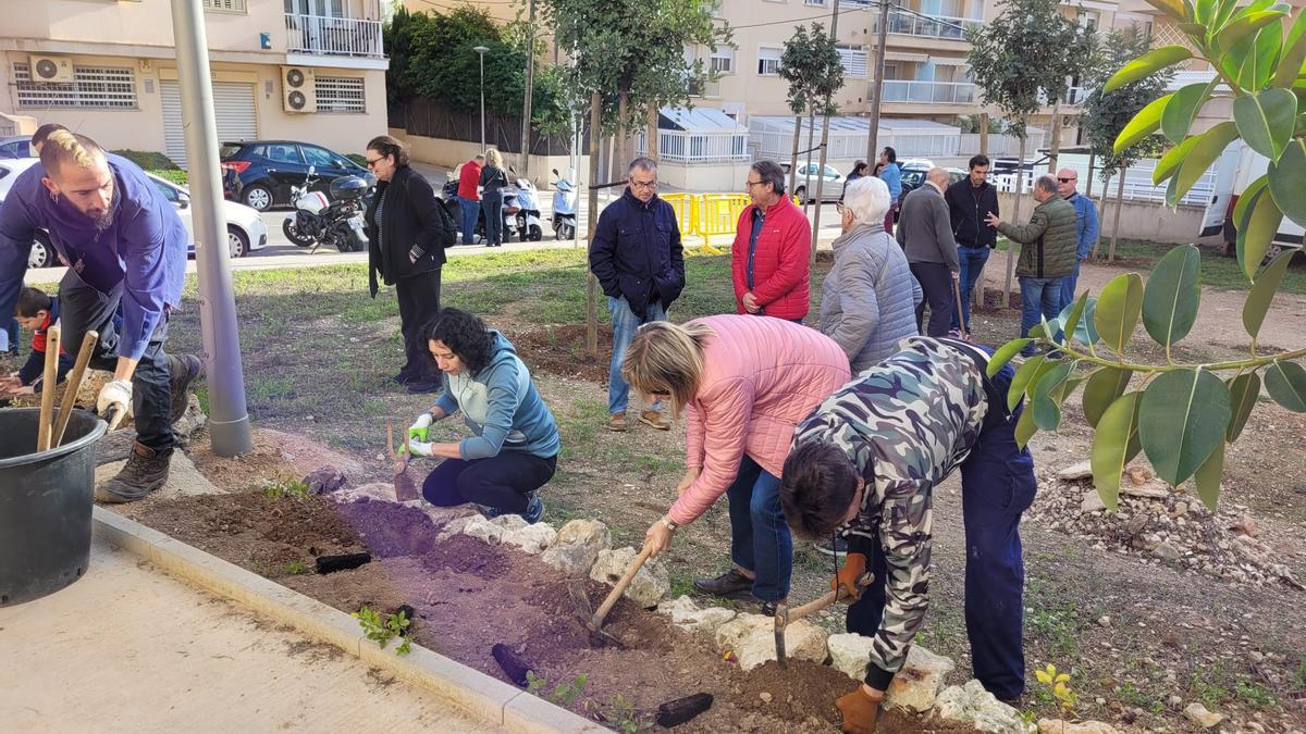 Vecinos de Palma participan en una siembra popular