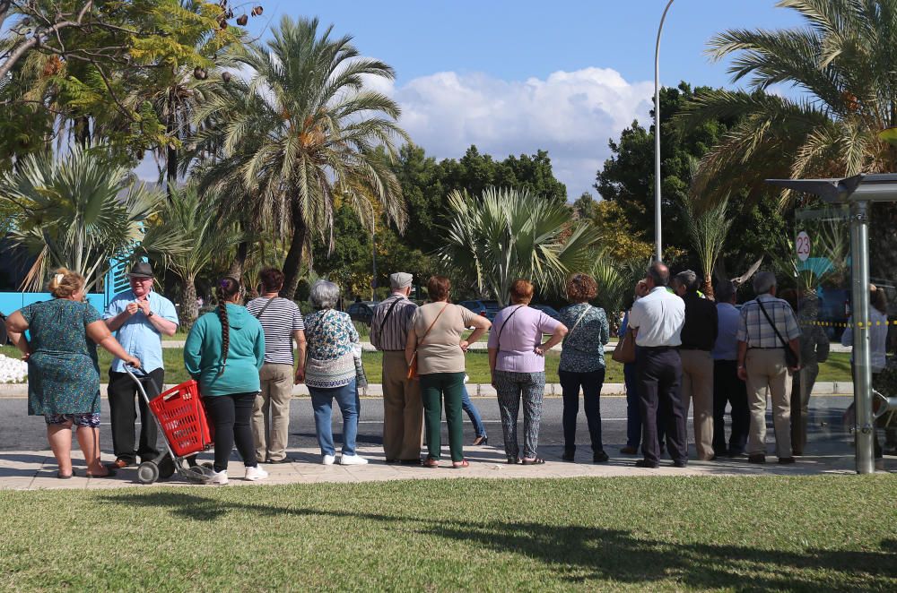 Día de Todos los Santos en Málaga