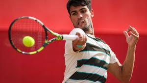Alcaraz s’exhibeix contra Bautista i jugarà la final de Queen’s
