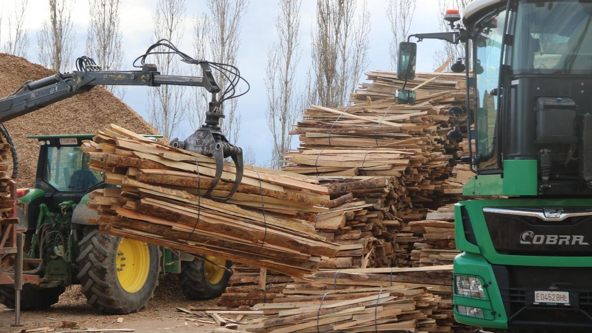 La fusta arribant a la trituradora de l'empresa Alameda Torrent.