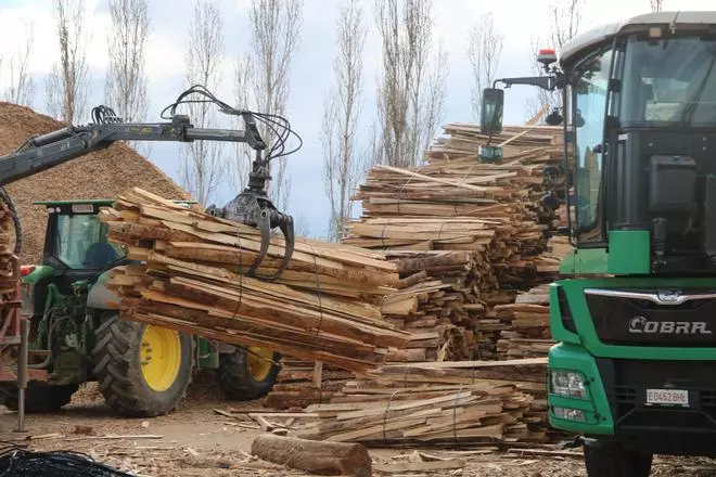 La sequera incrementa la producció de biomassa a les comarques gironines per la necessitat de retirar arbres morts