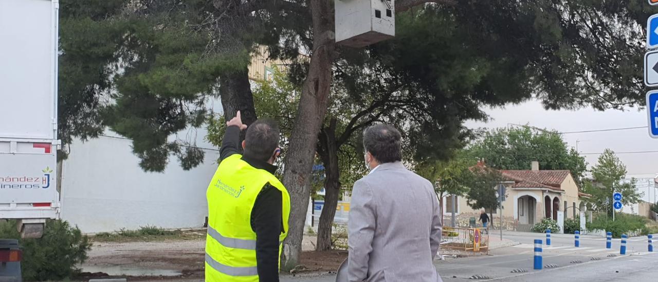 El alcalde de Villena, Fulgencio Cerdán, supervisando los trabajos de poda.