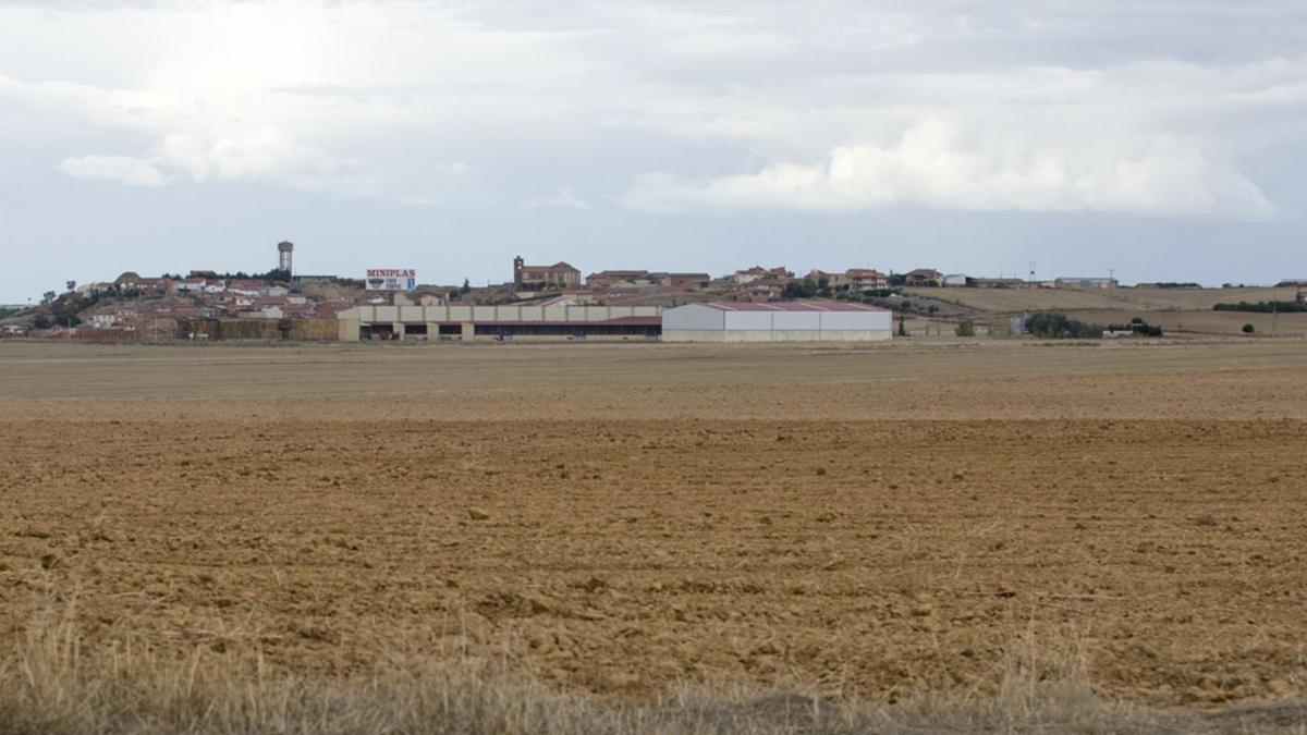 Vista de Castrogonzalo desde la zona de cultivos y parcelas de terreno rústico no cultivadas donde se podría desarrollar el proyecto de “DH2 energy” . | J. A. G.